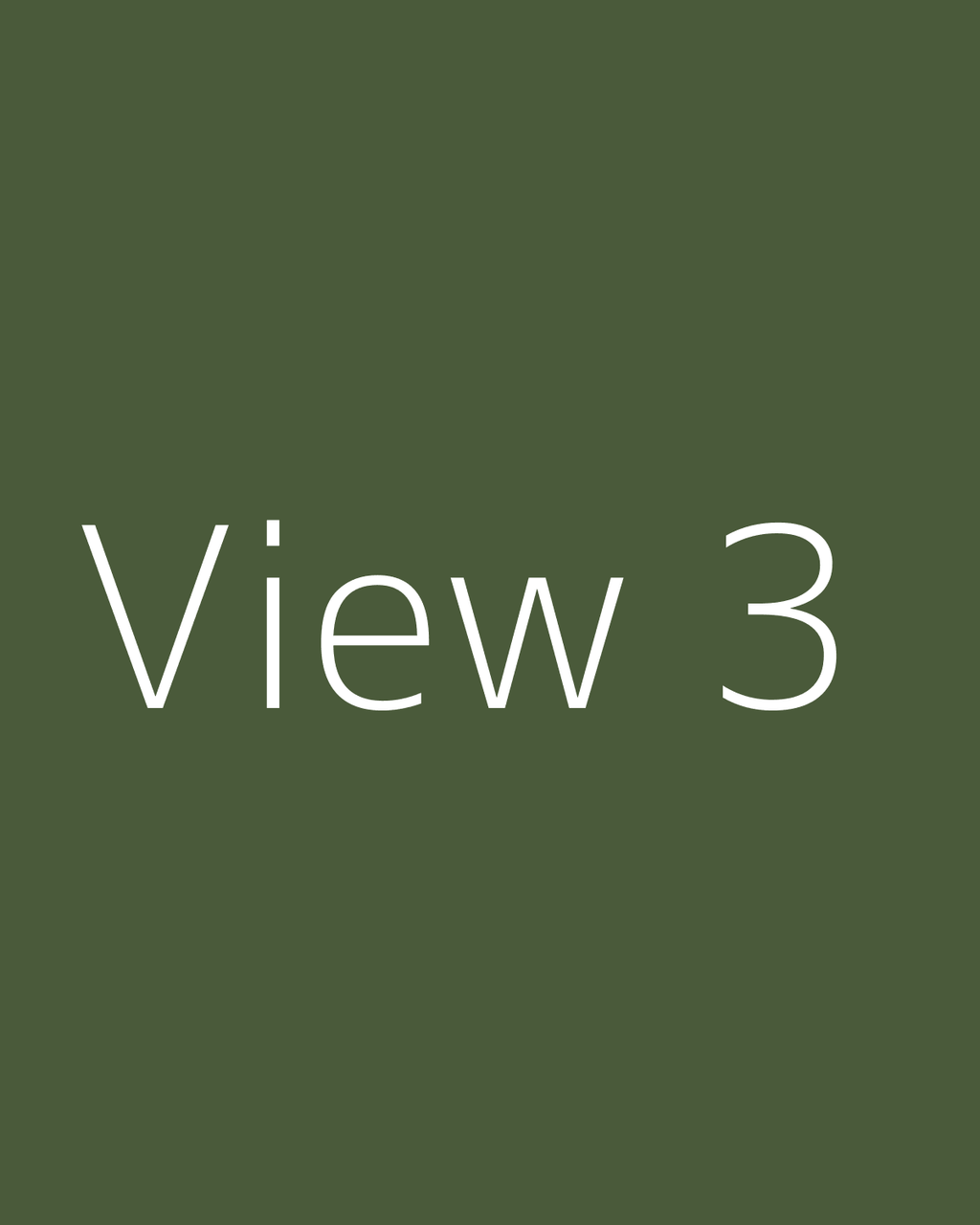 View 3