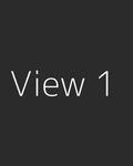 View 1