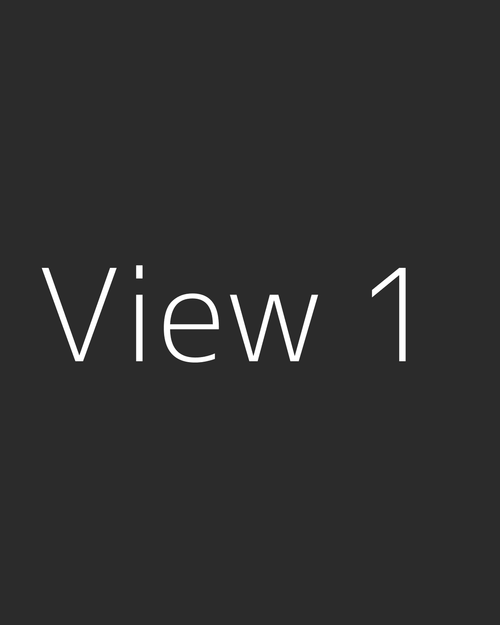View 1