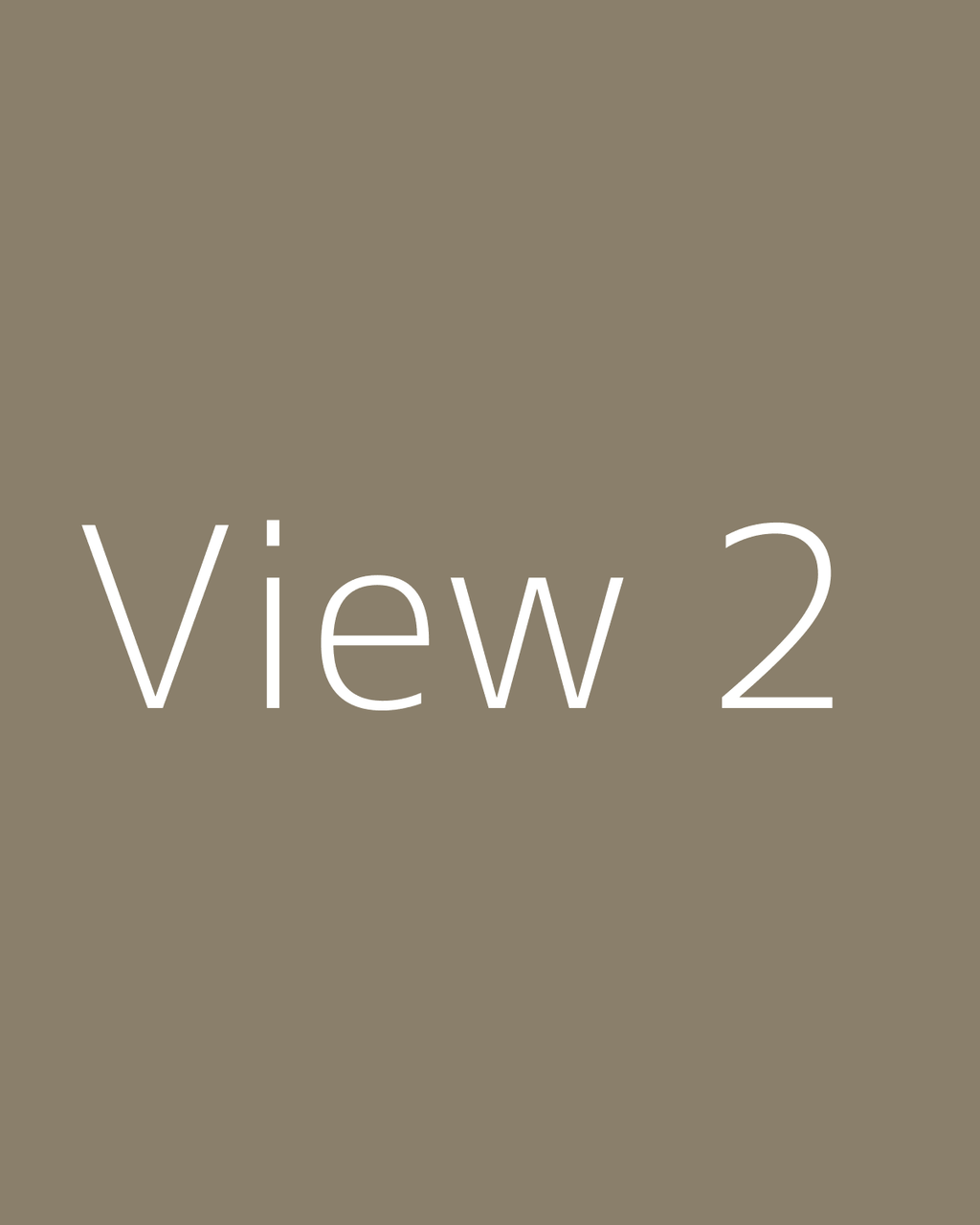 View 2