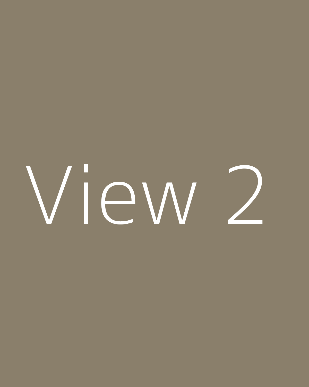 View 2