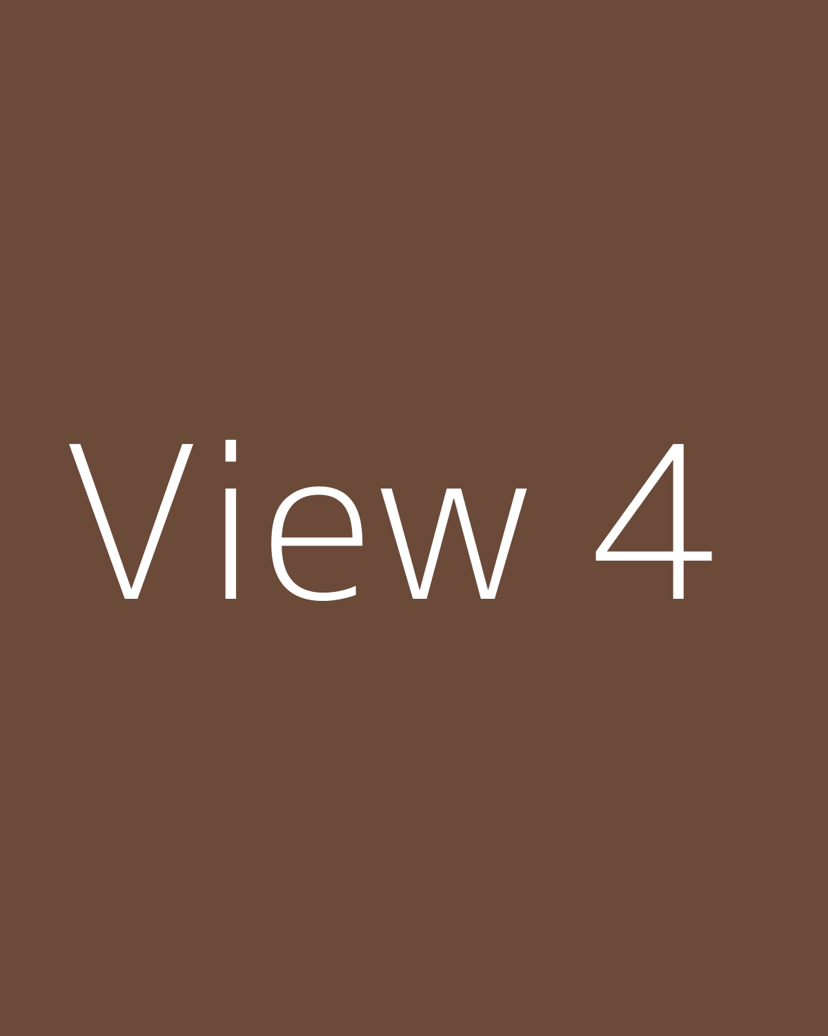 View 4