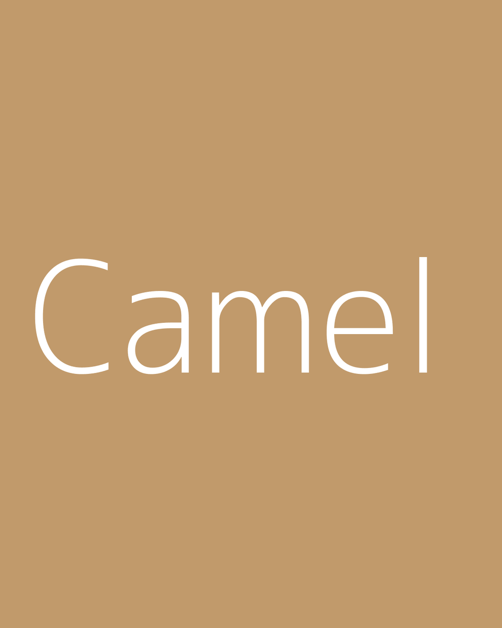 Camel