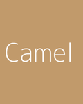 Camel