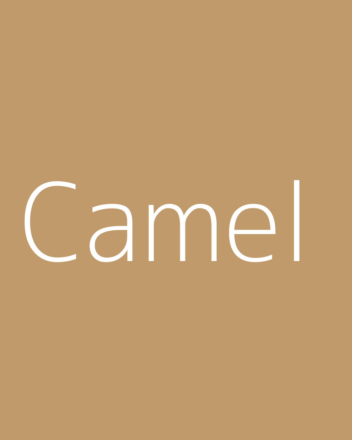 Camel